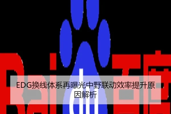 EDG换线体系再曝光中野联动效率提升原因解析
